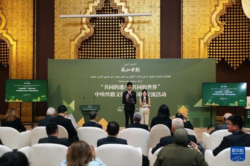 丝路古韵绽新声 中埃丝路文化遗产国际交流活动在开罗成功举办
